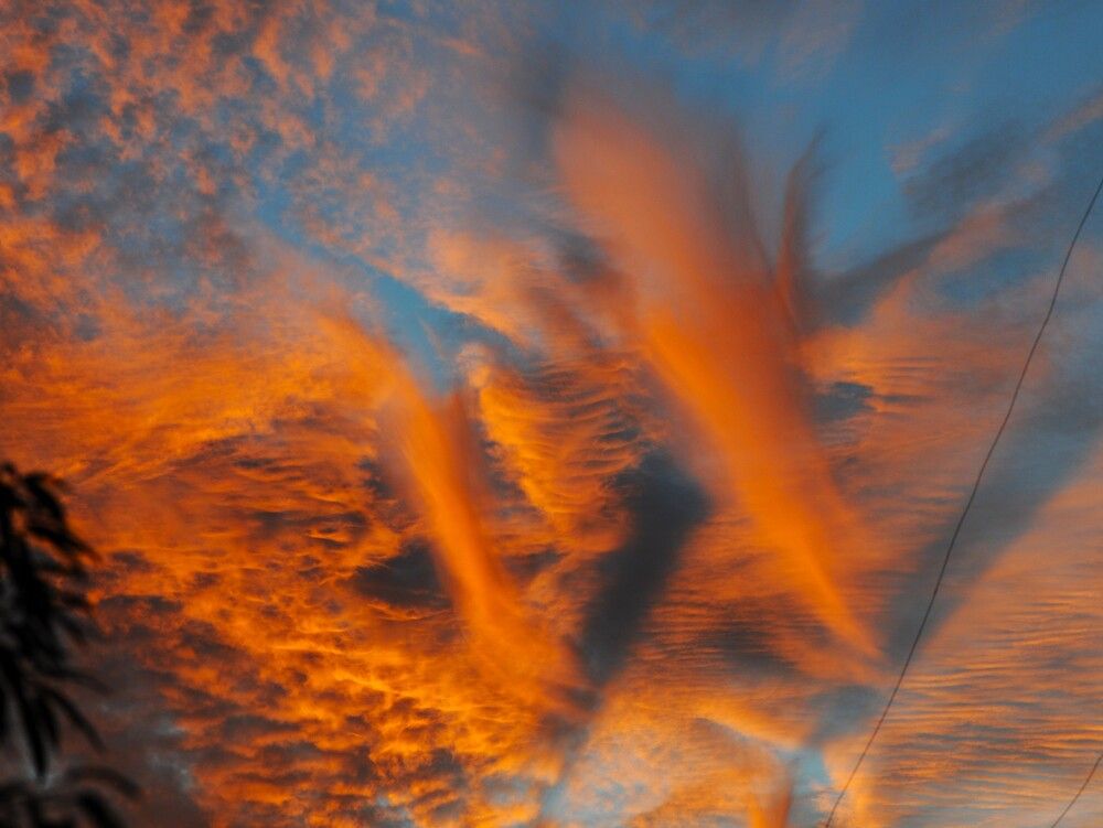 Photograph by Ася Бабушкина