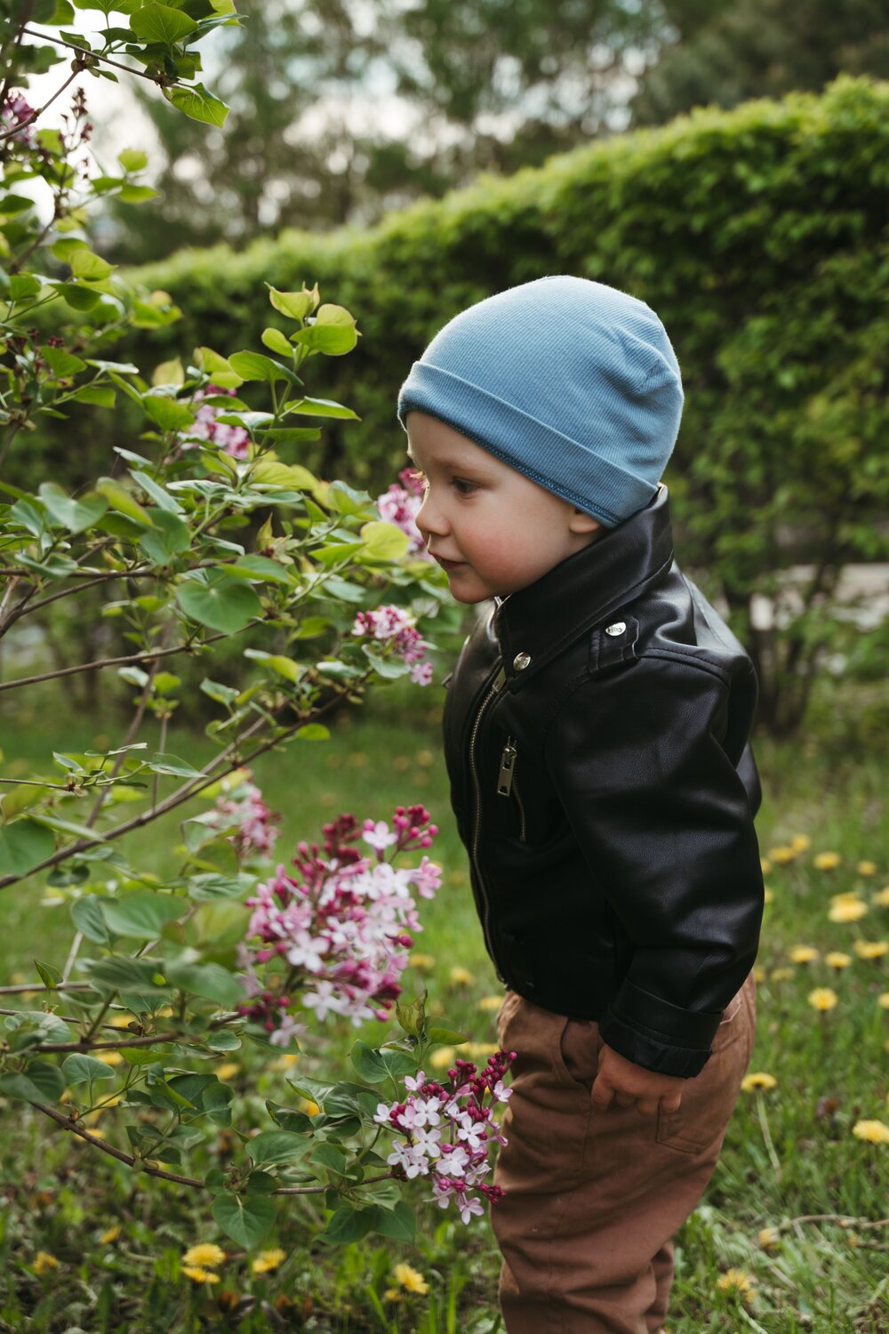 Photo #13763034