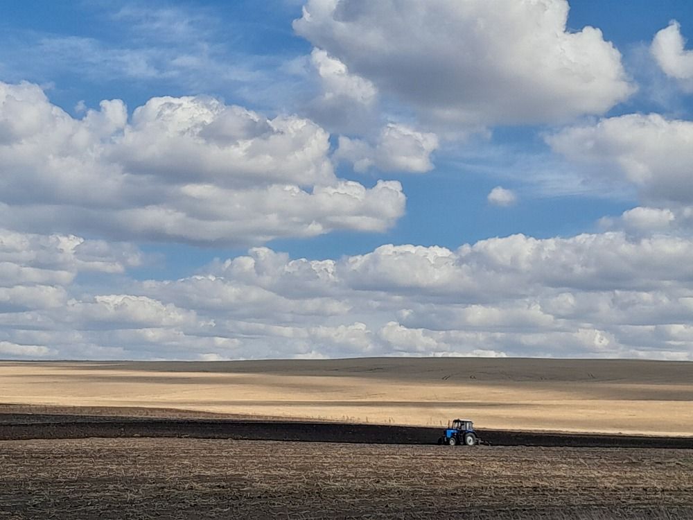 Photo #13763074