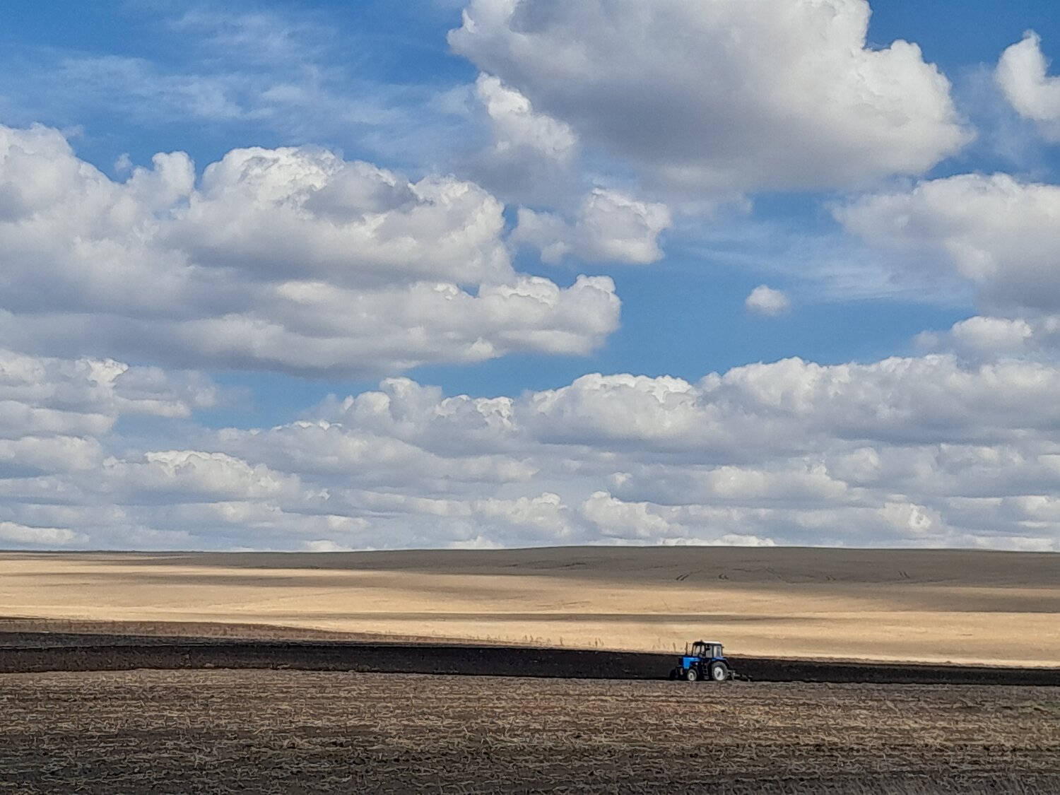 Photo #13763074