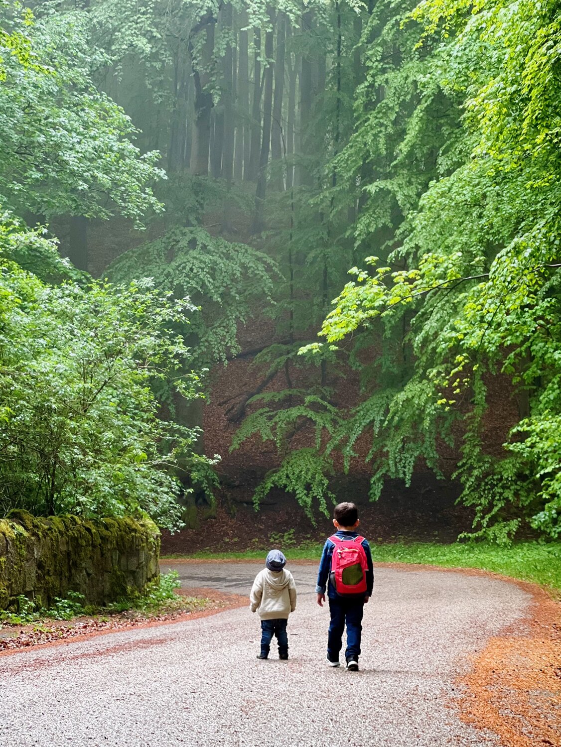 Children Walking in the Foggy Forest