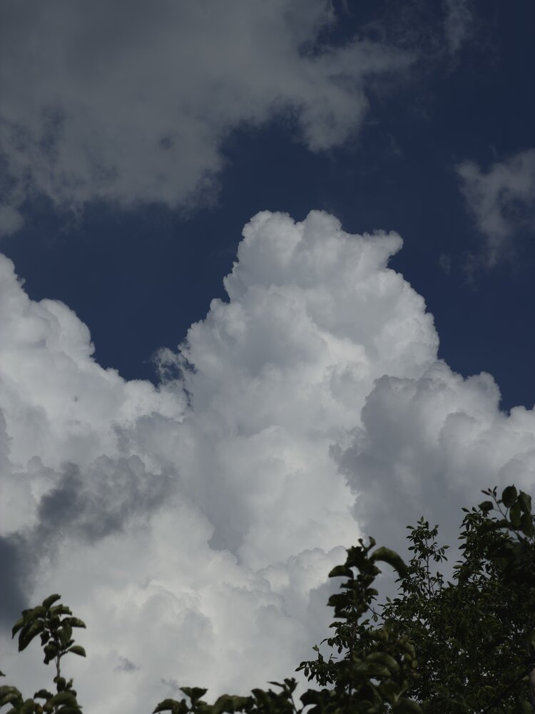 Photograph by Ксения Литвиненко