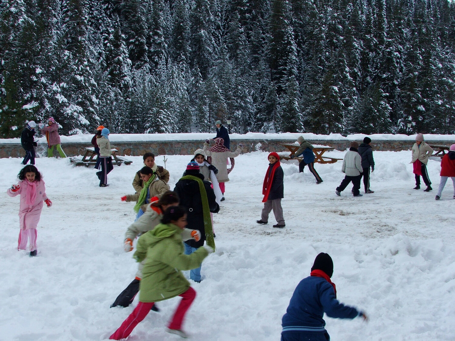 Photo #13763240