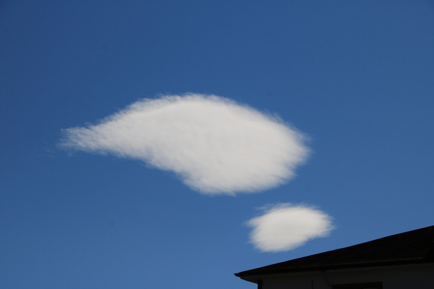 Photo #13763259