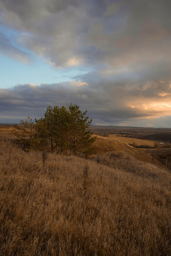 Photograph by Julia Andreeva