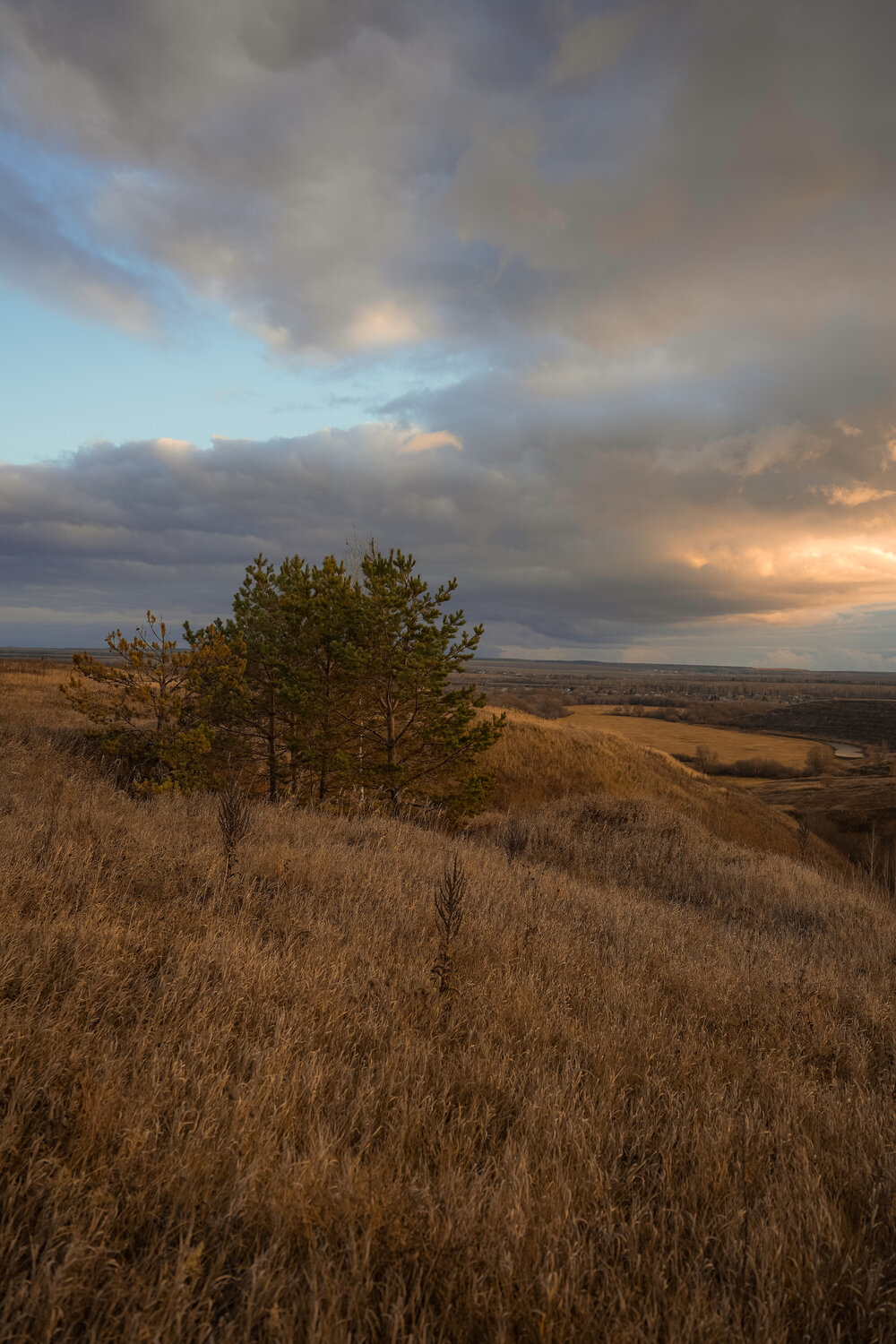 Photo #13763262