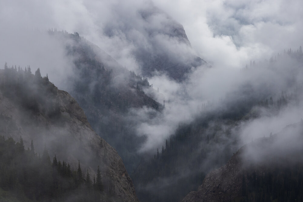 Photograph by Roman Vorobyev