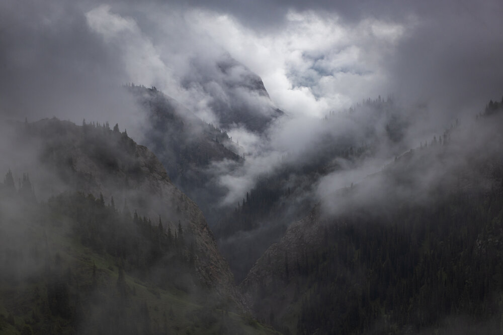 Photograph by Roman Vorobyev