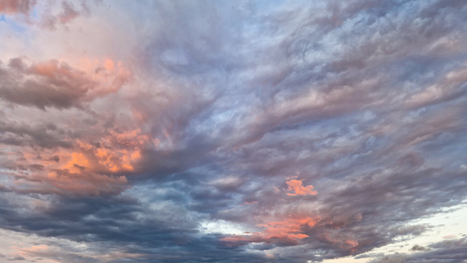 Photo #13763514