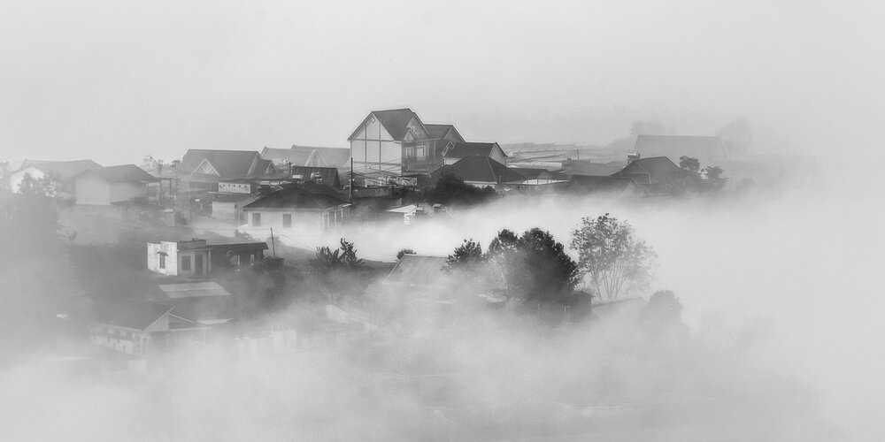 A MASTERPIECE OF NATURE BW