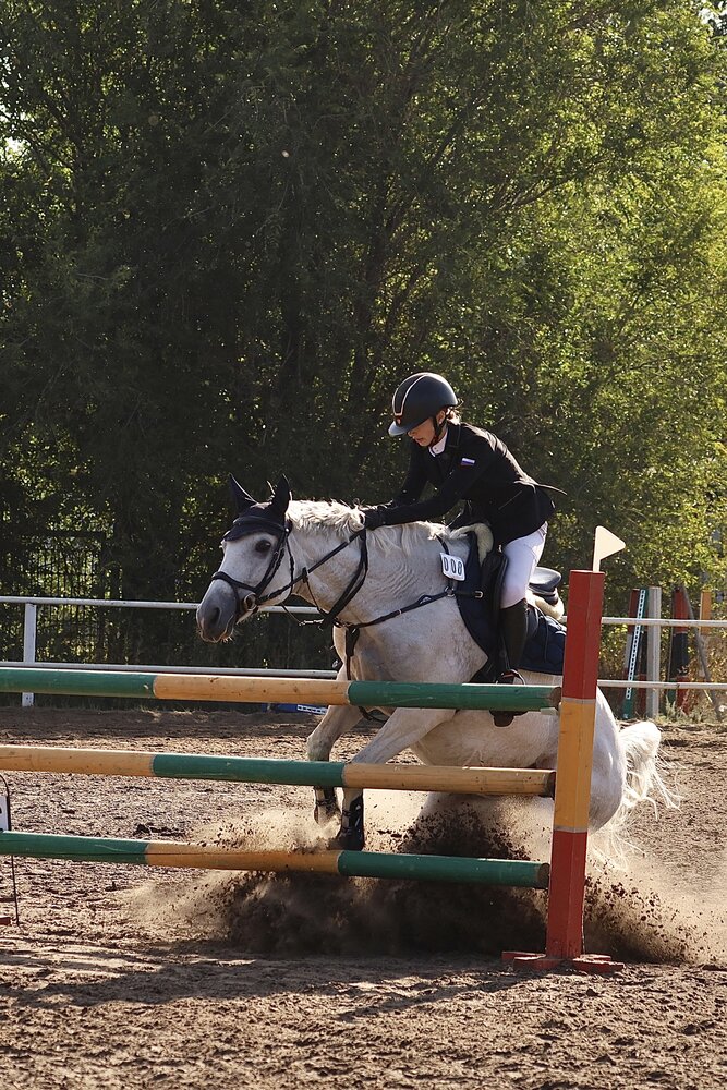 Photo #13763591