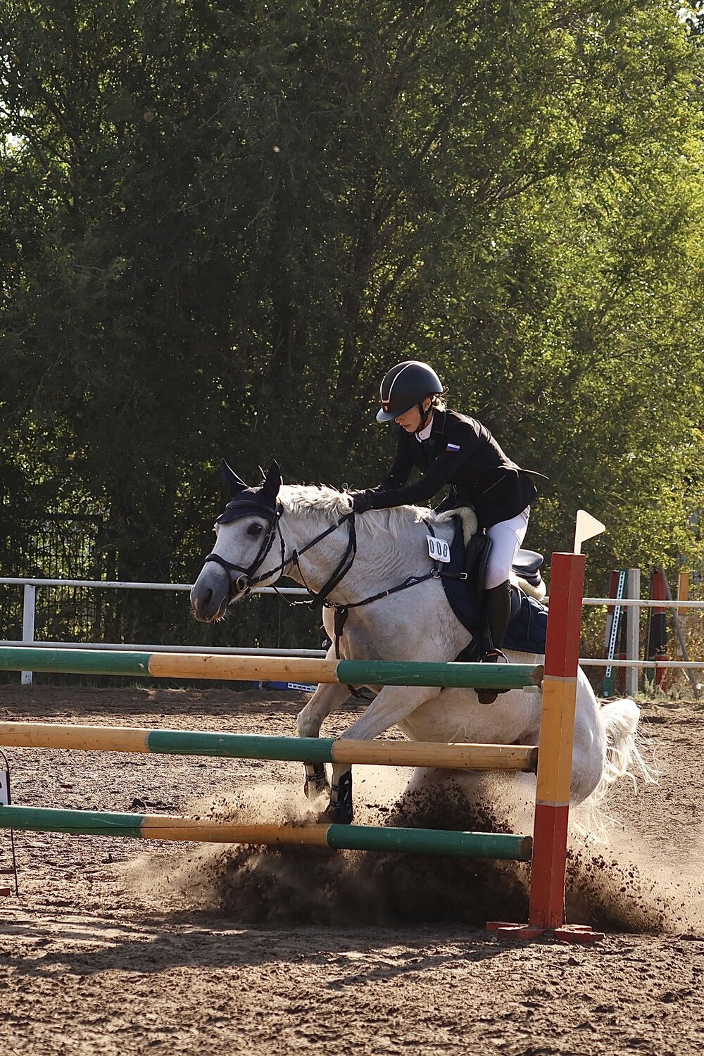Photo #13763591