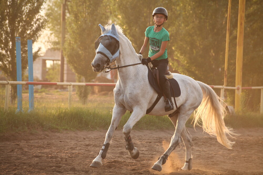Photo #13763592