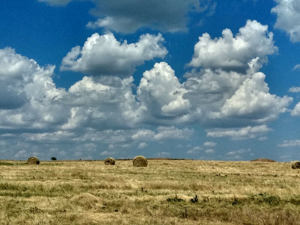 Photograph by Татьяна Петренко