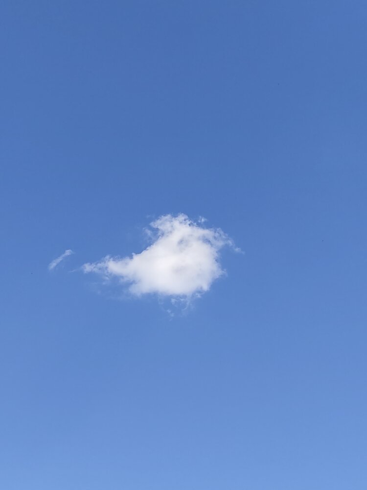 Flying Cloud