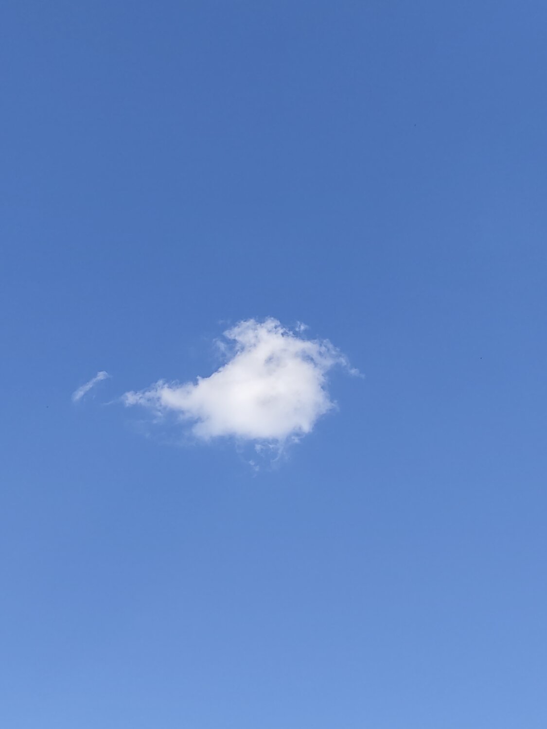 Flying Cloud
