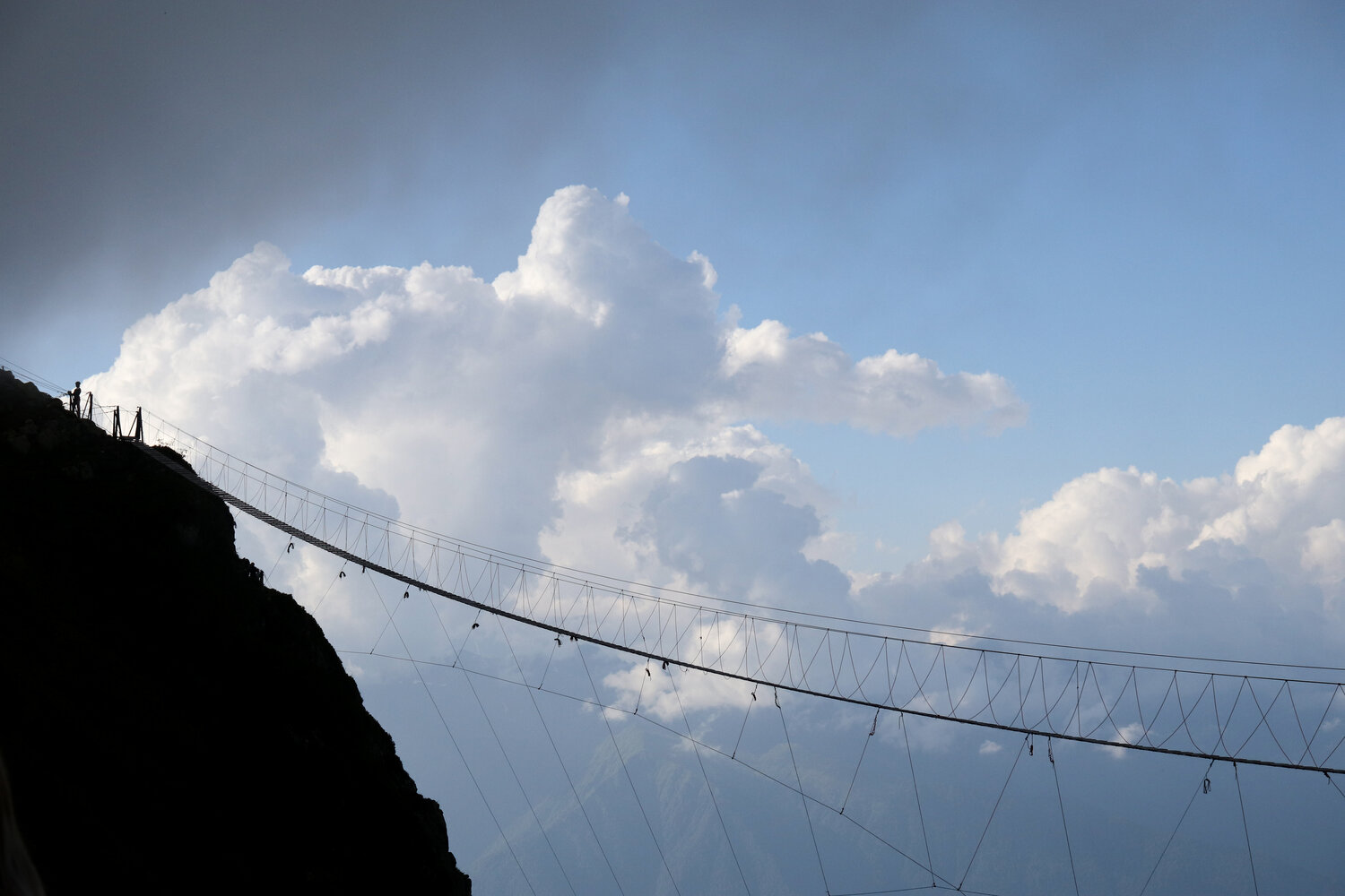 Photo #13763682