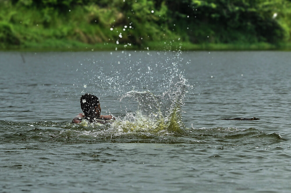 Photograph by DR BIJON GHOSH