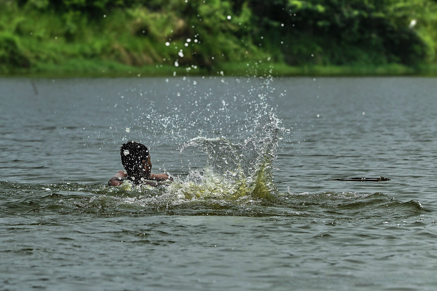 Photo #13763774
