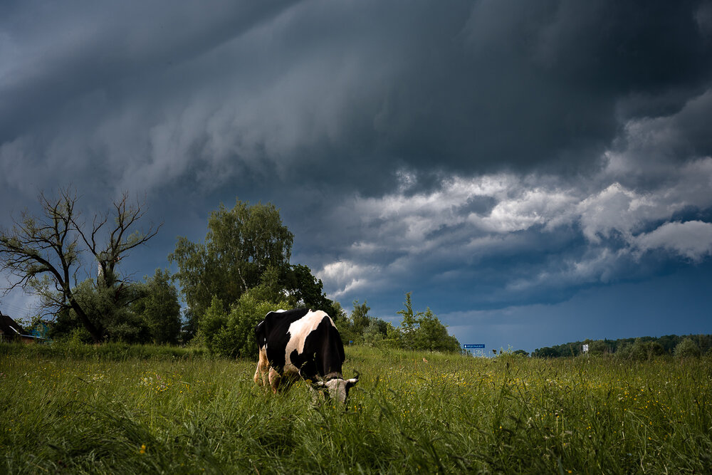 Photograph by PYATNITSKIY ANDREY