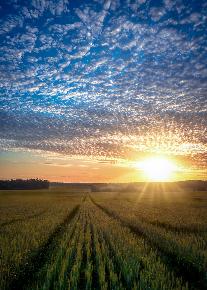 Photograph by PYATNITSKIY ANDREY