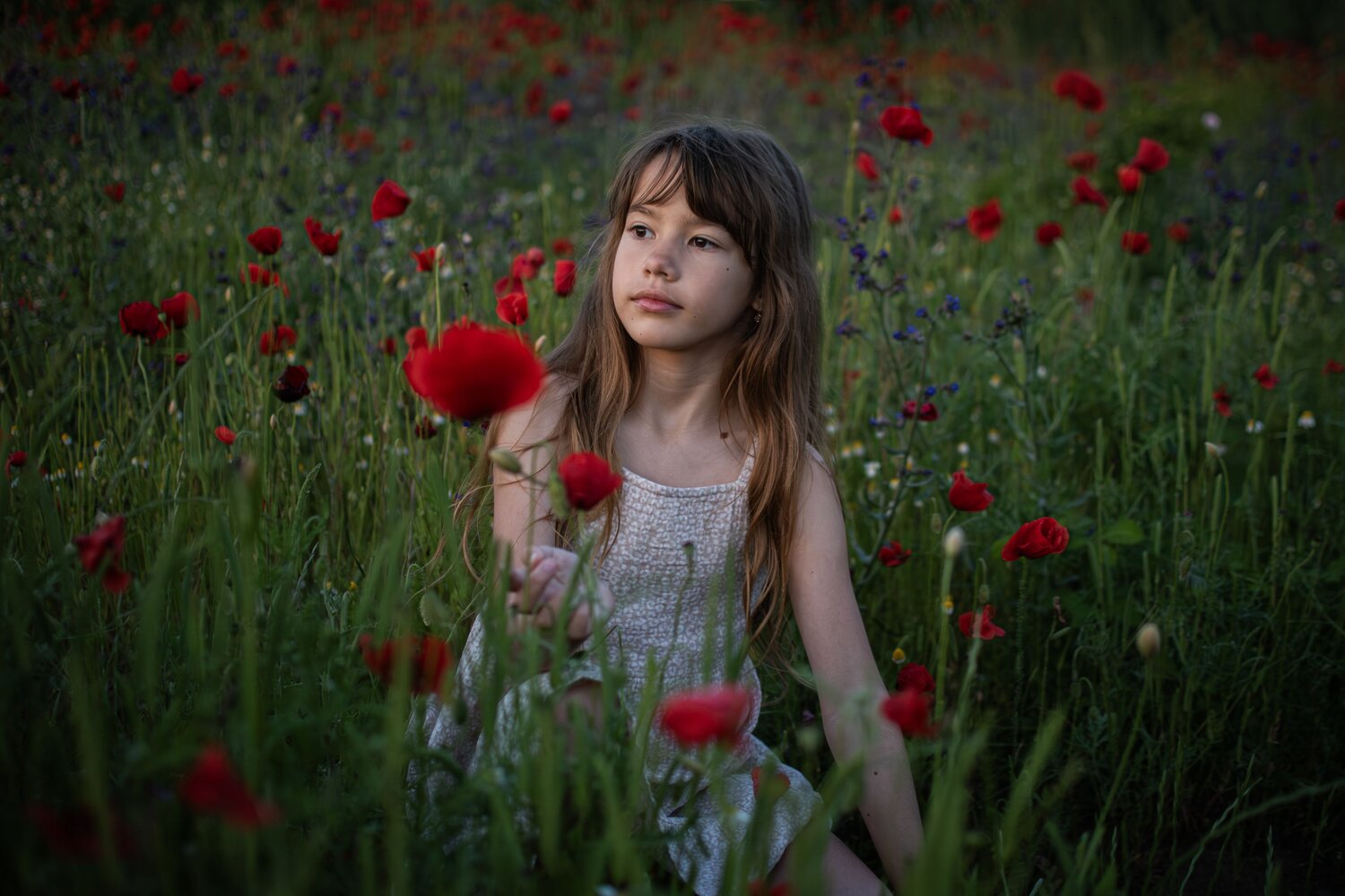 Photo #13764036