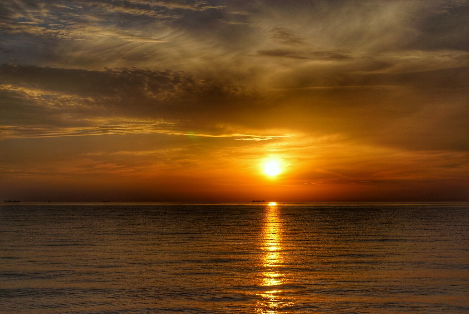 Photo #13764046