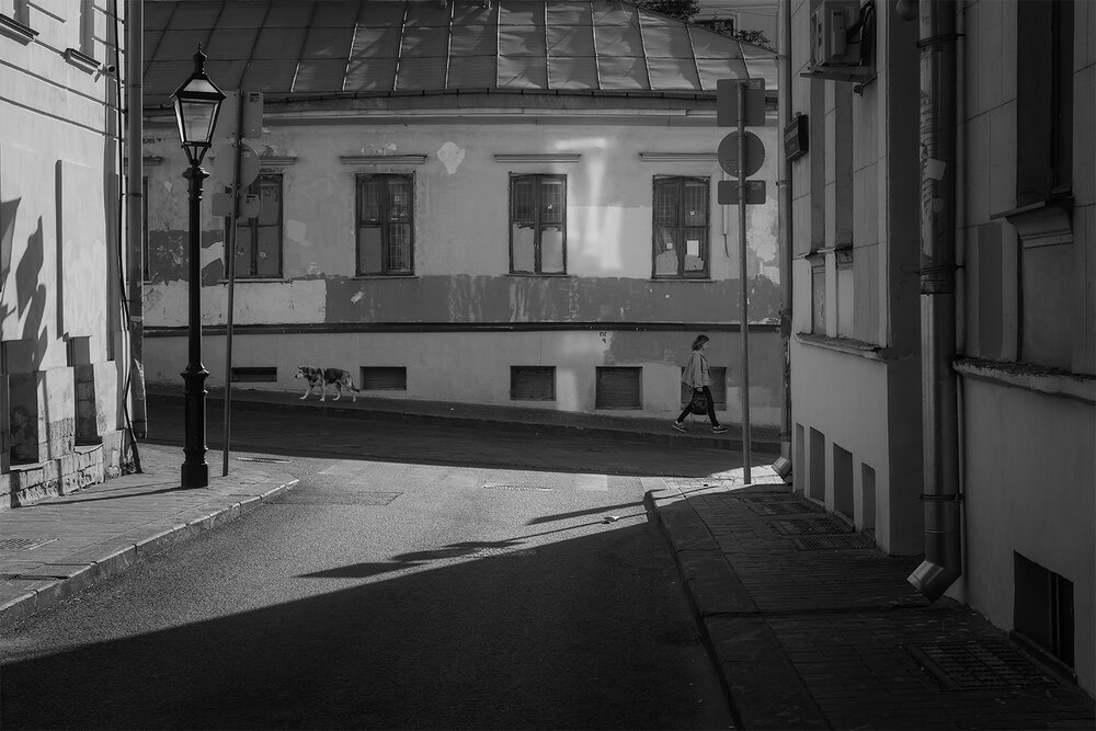 Photograph by Михаил Мак