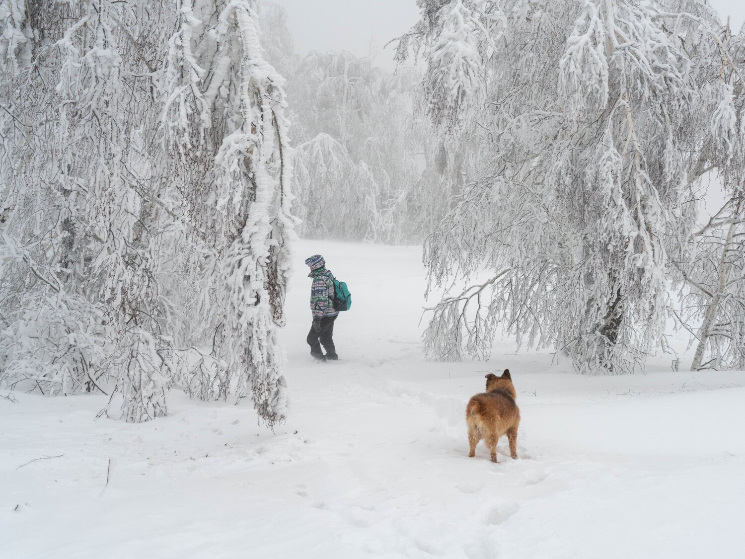 Photo #13764098