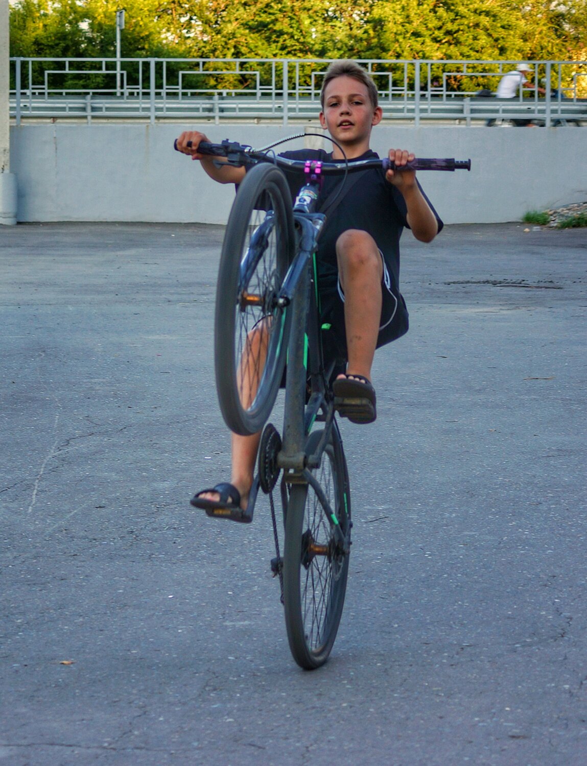 Photo #13764118