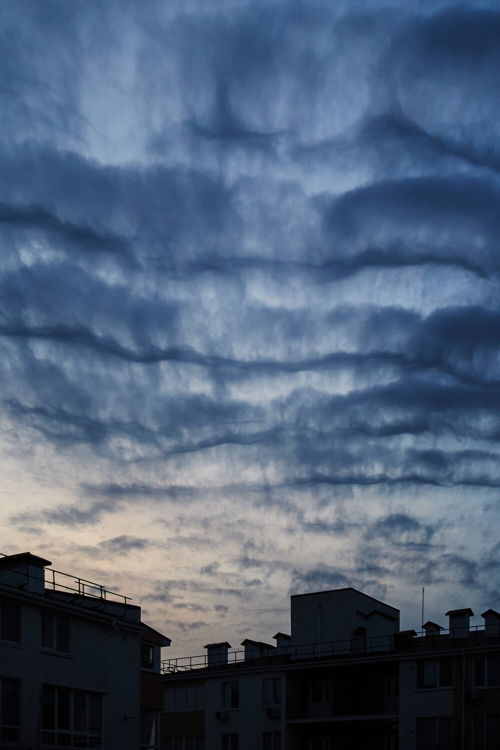Photo #13764142