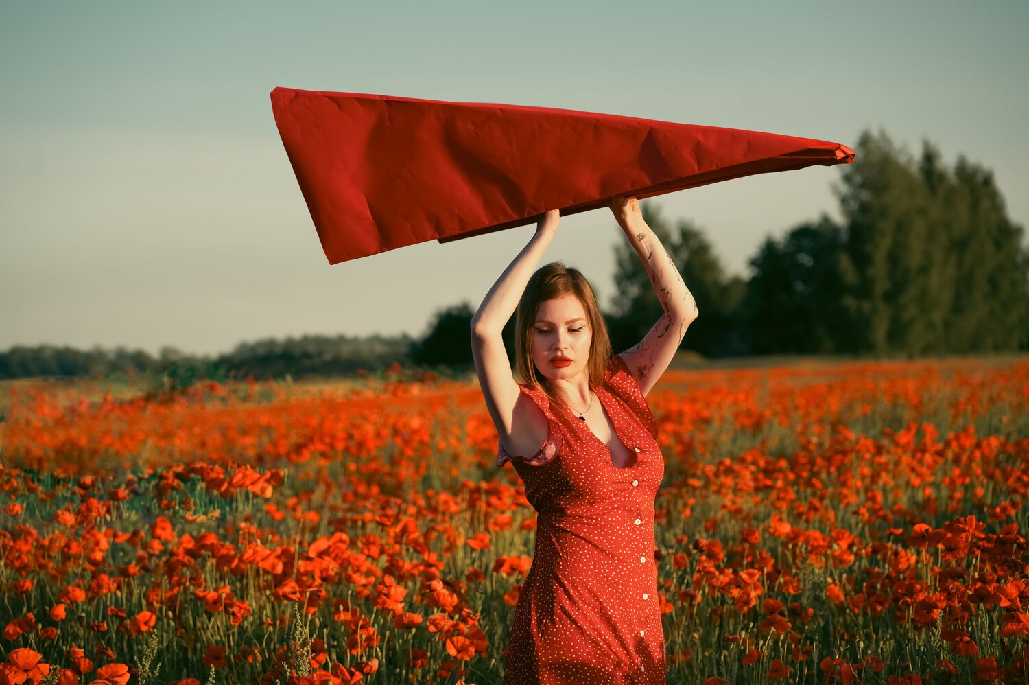 Фотография #13764209
