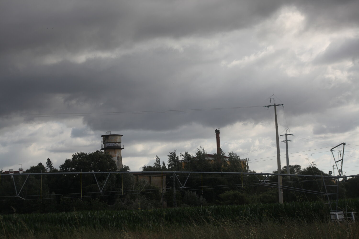 Photo #13764242