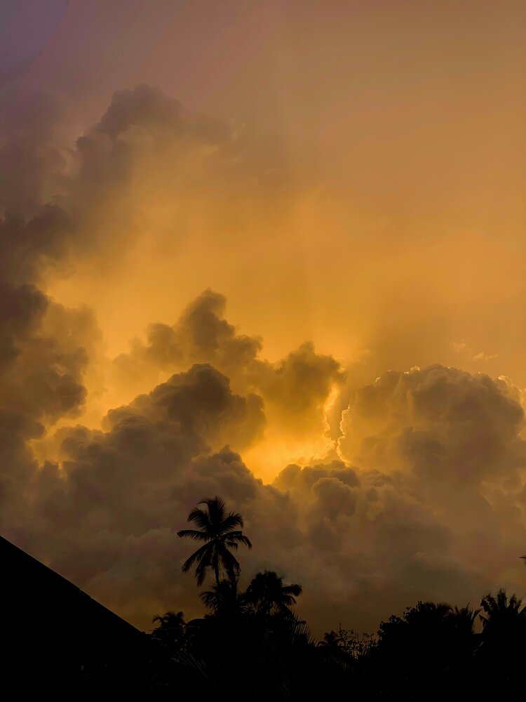 Photograph by K.A Vishwa Sankalpa