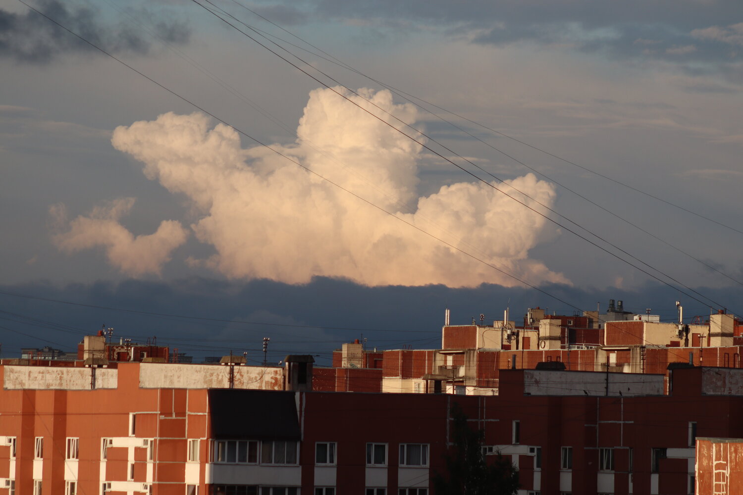 Photo #13764317