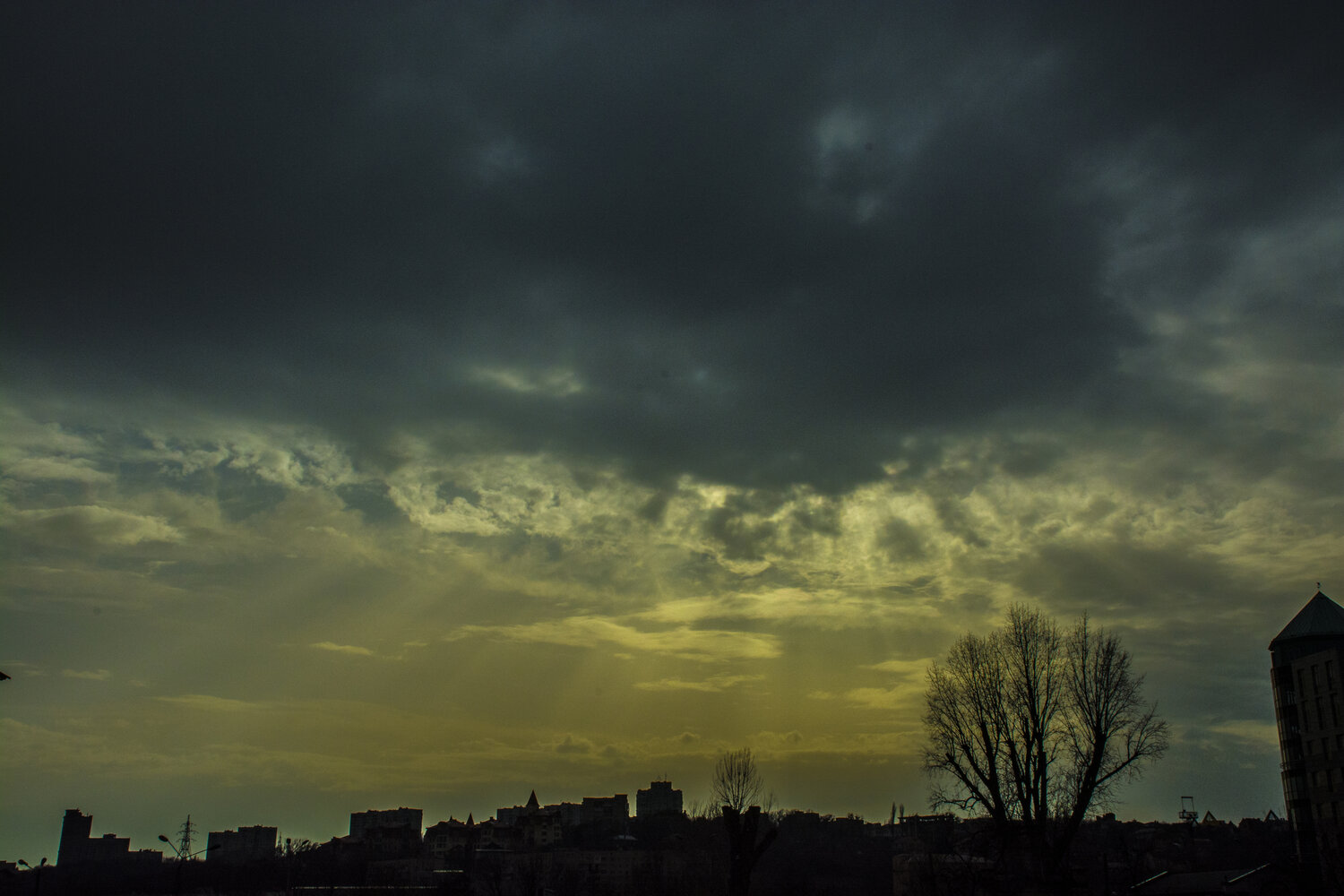 Photo #13764330