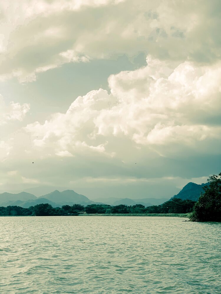 Photograph by K.A Vishwa Sankalpa