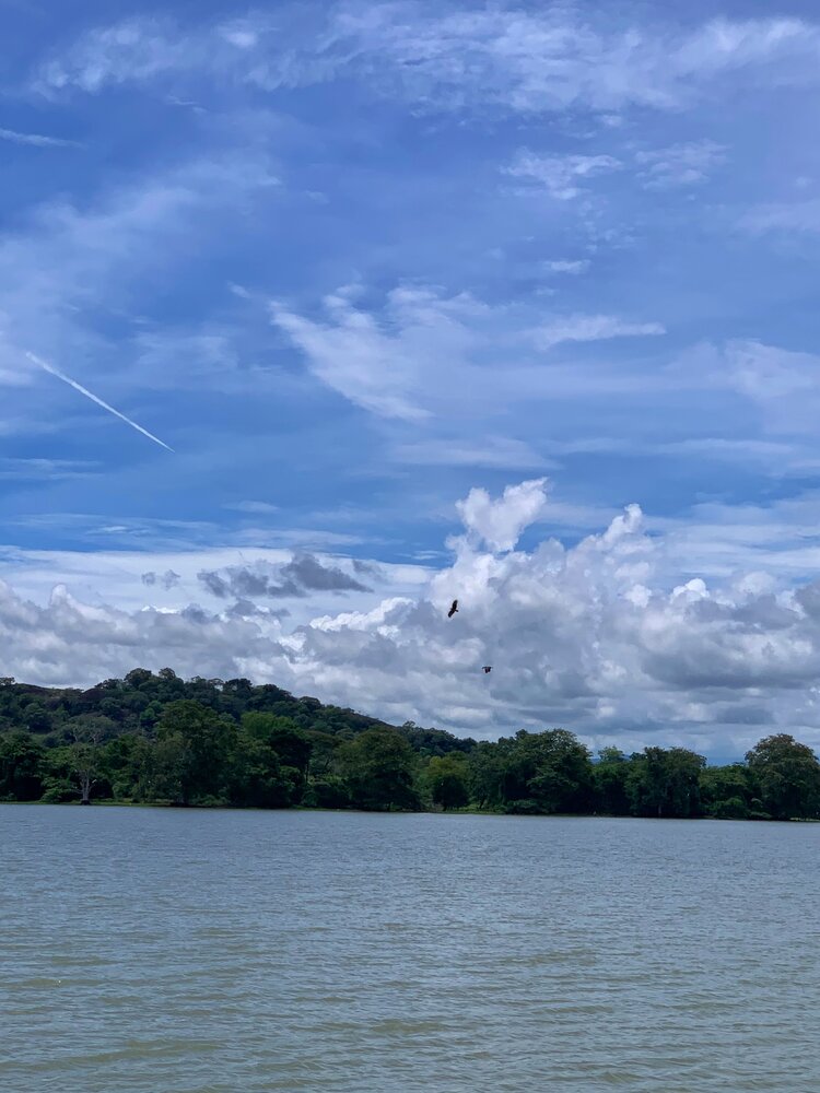 Photograph by K.A Vishwa Sankalpa