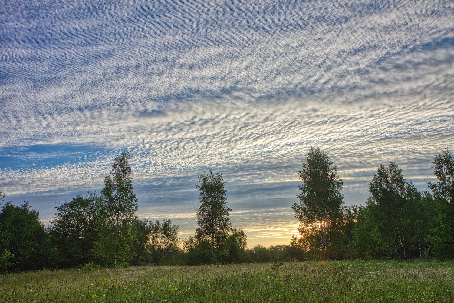 Photo #13764400