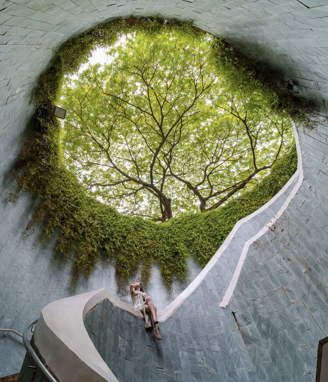 Nature’s Eye