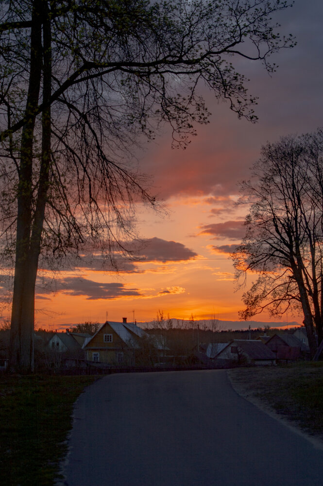 Photograph by Елена Кошелева