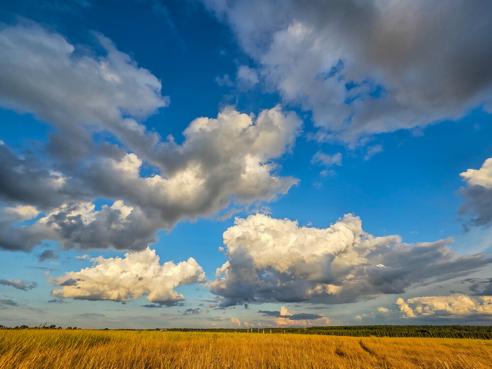 Photograph by Екатерина Соколова
