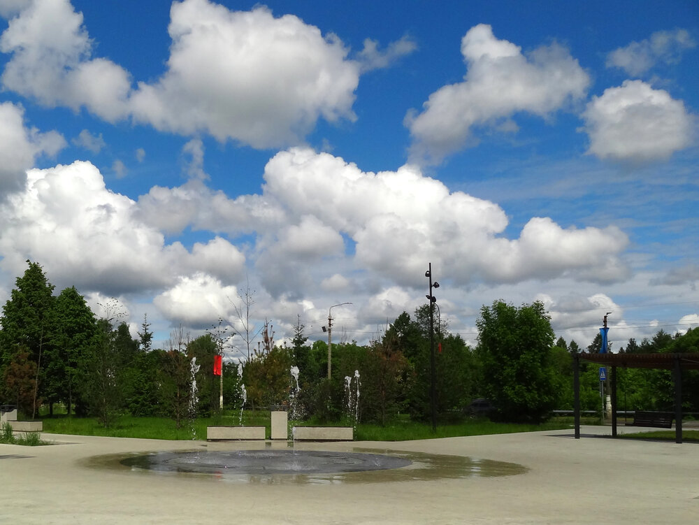 Photo #13764574