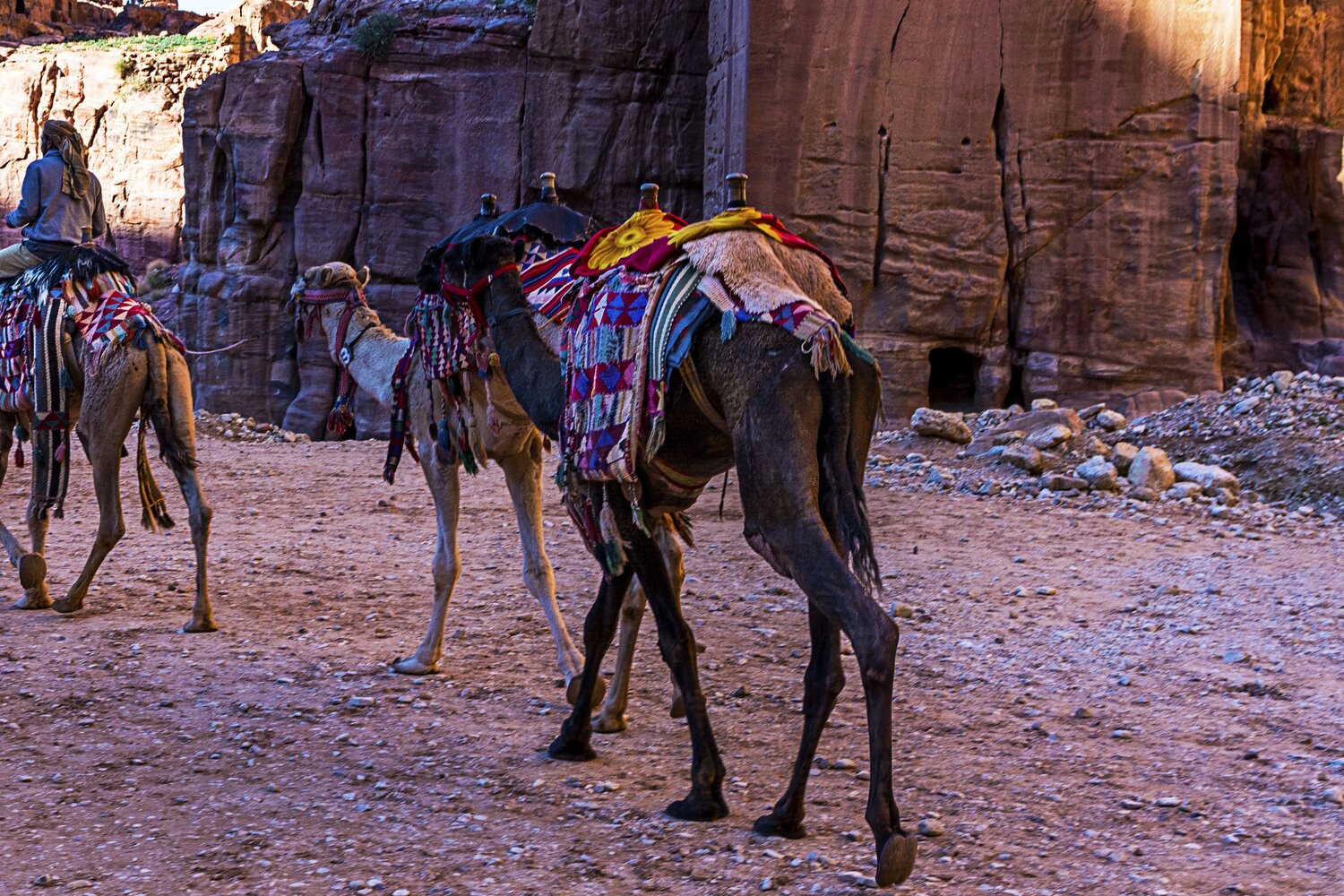 Photo #13764584