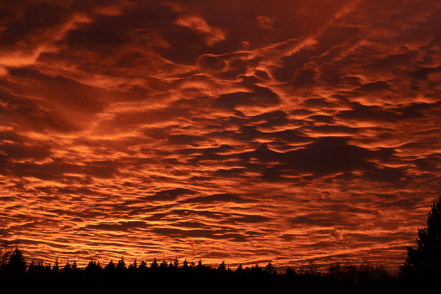 Photo #13764680