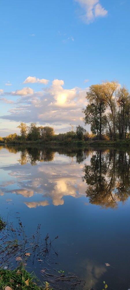 Фотография автора Алексей