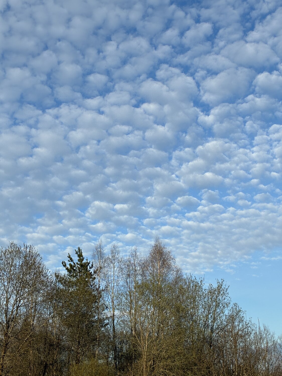 Photo #13764709