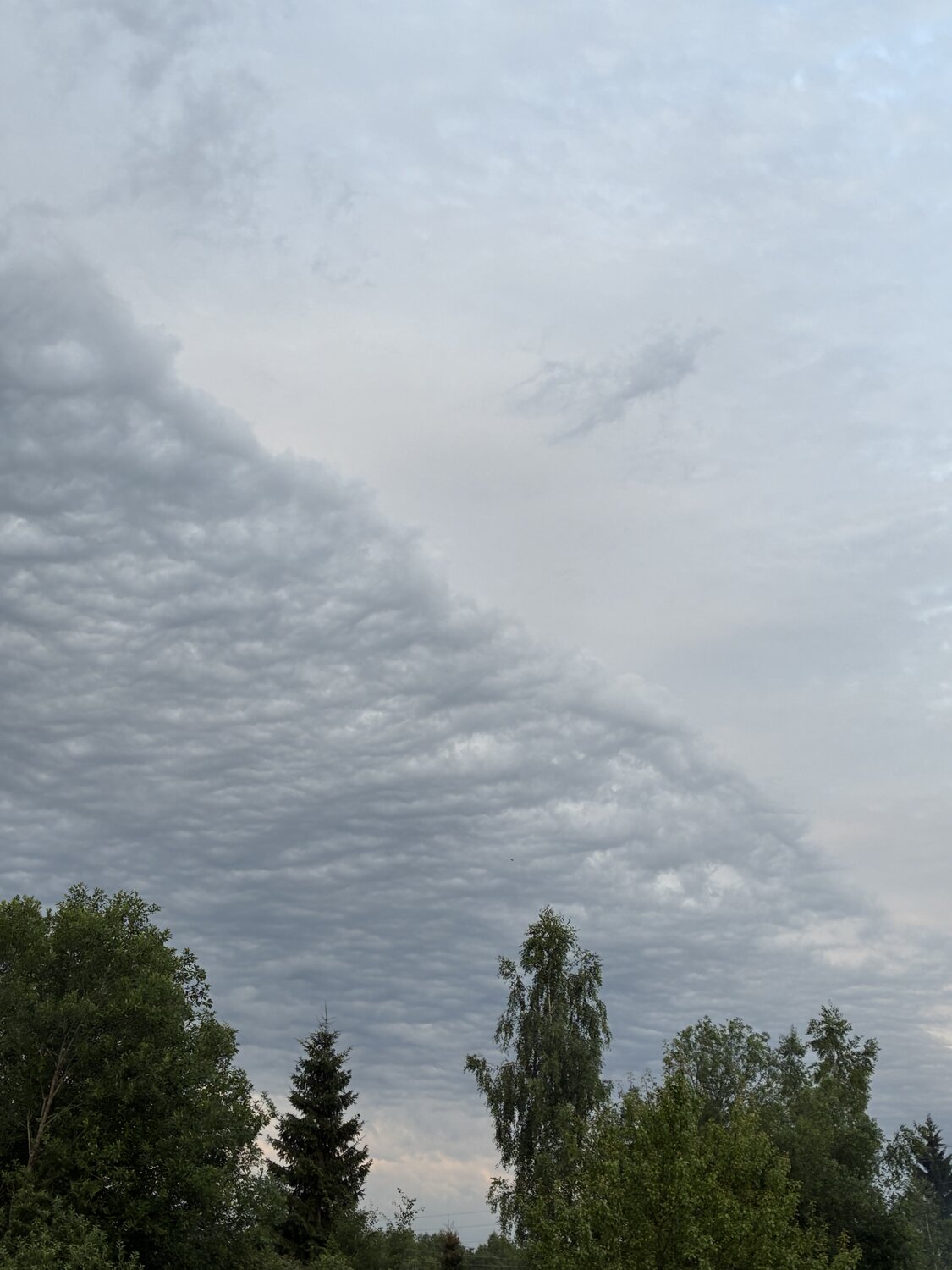 Photo #13764710