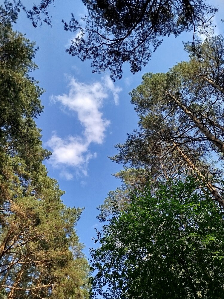 Photograph by Елена Горева