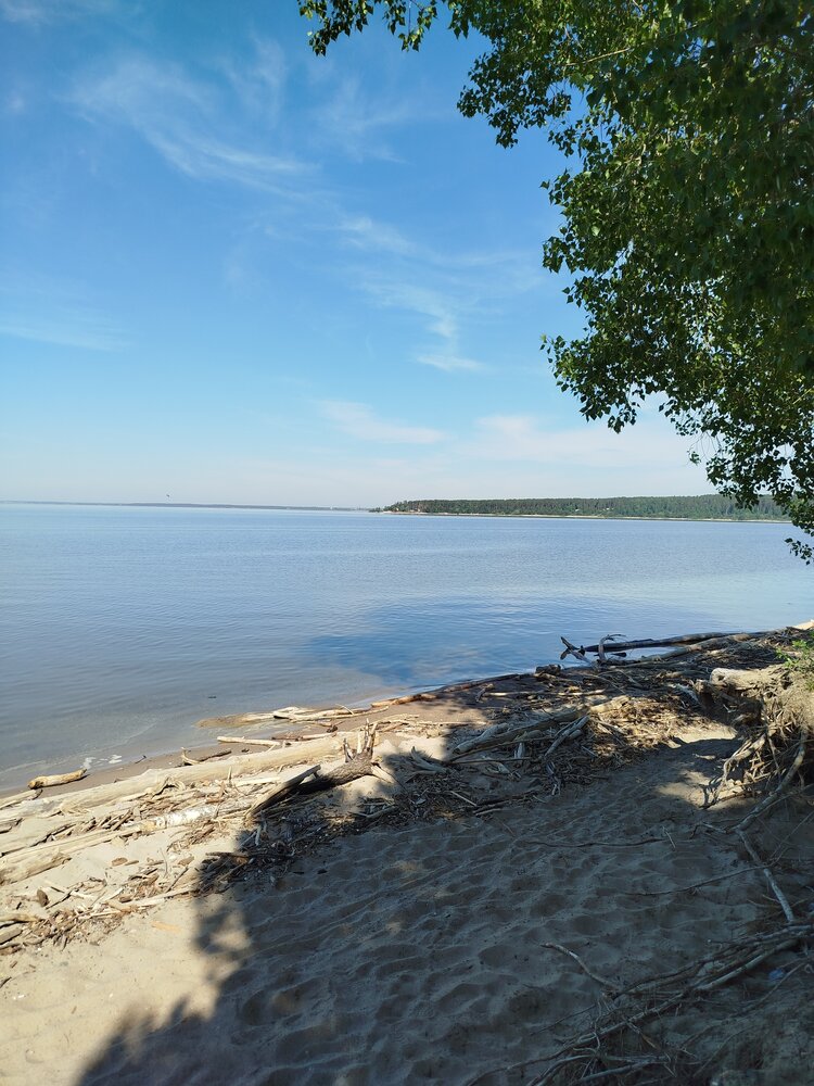Photograph by Елена Горева